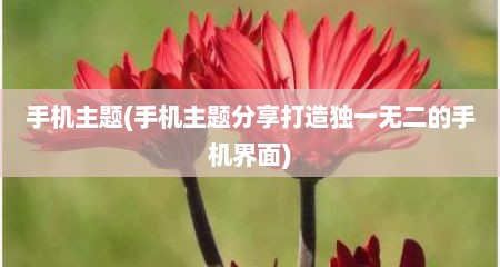 手机主题(手机主题分享打造独一无二的手机界面)