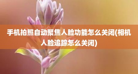 手机拍照自动聚焦人脸功能怎么关闭(相机人脸追踪怎么关闭)