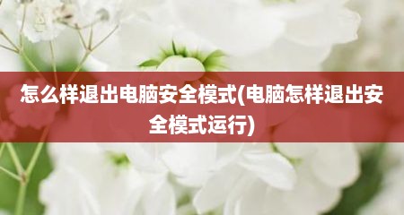 怎么样退出电脑安全模式(电脑怎样退出安全模式运行)