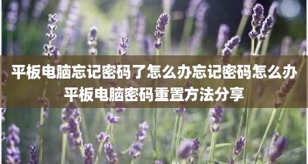 平板电脑忘记密码了怎么办忘记密码怎么办平板电脑密码重置方法分享