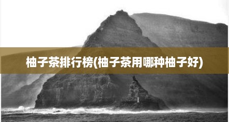 柚子茶排行榜(柚子茶用哪种柚子好)