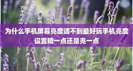 为什么手机屏幕亮度调不到最好玩手机亮度设置暗一点还是亮一点