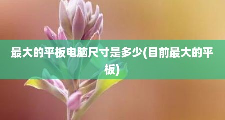 最大的平板电脑尺寸是多少(目前最大的平板)