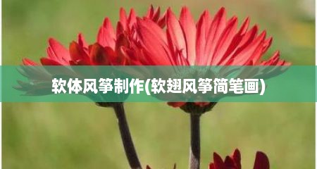 软体风筝制作(软翅风筝简笔画)