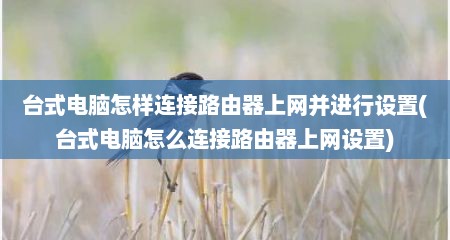 台式电脑怎样连接路由器上网并进行设置(台式电脑怎么连接路由器上网设置)