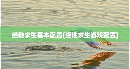 绝地求生基本配置(绝地求生游戏配置)