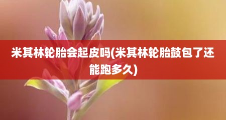 米其林轮胎会起皮吗(米其林轮胎鼓包了还能跑多久)