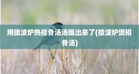 用微波炉热排骨汤汤爆出来了(微波炉煲排骨汤)