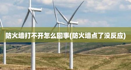 防火墙打不开怎么回事(防火墙点了没反应)