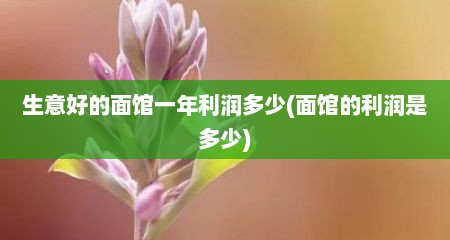 生意好的面馆一年利润多少(面馆的利润是多少)