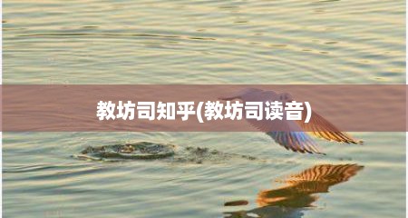 教坊司知乎(教坊司读音)