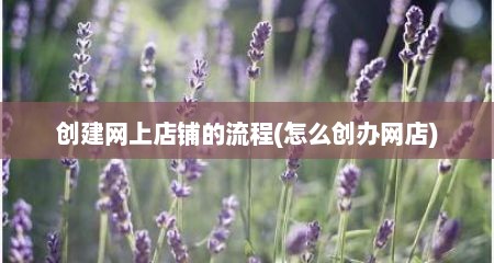 创建网上店铺的流程(怎么创办网店)