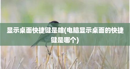 显示桌面快捷键是啥(电脑显示桌面的快捷键是哪个)
