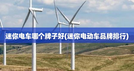 迷你电车哪个牌子好(迷你电动车品牌排行)