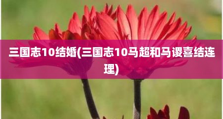 三国志10结婚(三国志10马超和马谡喜结连理)