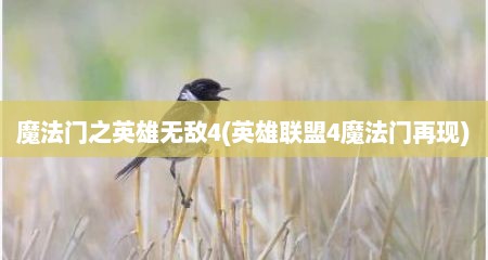 魔法门之英雄无敌4(英雄联盟4魔法门再现)
