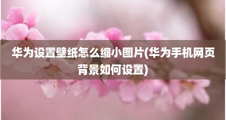 华为设置壁纸怎么缩小图片(华为手机网页背景如何设置)