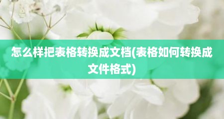 怎么样把表格转换成文档(表格如何转换成文件格式)