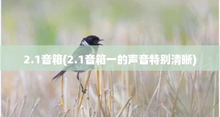 2.1音箱(2.1音箱一的声音特捌清晰)