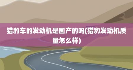 猎豹车的发动机是国产的吗(猎豹发动机质量怎么样)