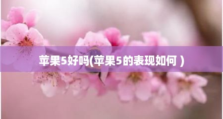 苹果5好吗(苹果5的表现如何 )