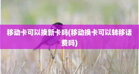移动卡可以换新卡吗(移动换卡可以转移话费吗)