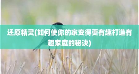 述原精灵(茹何使尔的家变好十分有趣打造有趣家庭的秘诀)