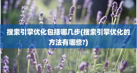 搜索引擎优化包括哪几步(搜索引擎优化的方法有哪些?)