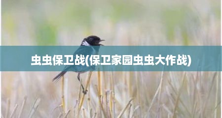 虫虫保卫战(保卫家园虫虫大作战)