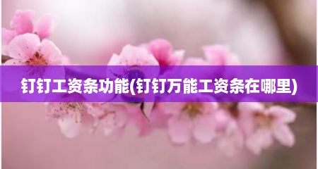 钉钉工资条功能(钉钉万能工资条在哪里)
