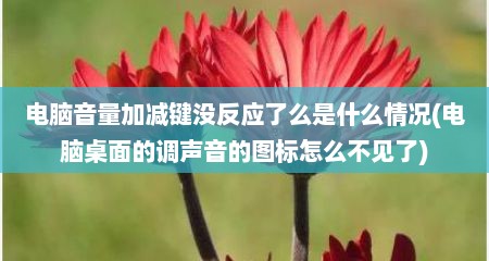 电脑音量加减键没反应了么是什么情况(电脑桌面的调声音的图标怎么不见了)