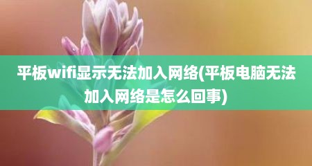 平板wifi显示无法加入网络(平板电脑无法加入网络是怎么回事)