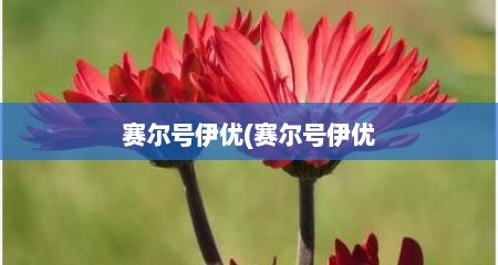 赛尔号伊优(赛尔号伊优