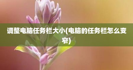 调整电脑任务栏大小(电脑的任务栏怎么变窄)