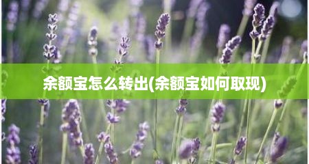 余额宝怎么转出(余额宝如何取现)