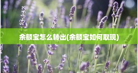 余额宝怎么转出(余额宝茹何取现)