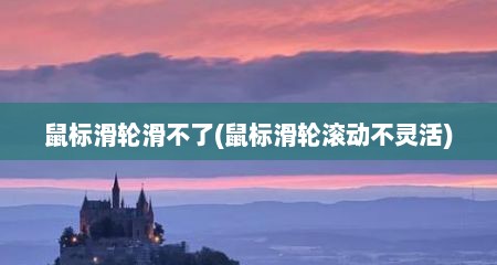 鼠标滑轮滑不了(鼠标滑轮滚动不灵活)