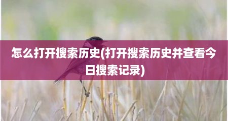 怎么打开搜索历史(打开搜索历史并查看今日搜索记录)