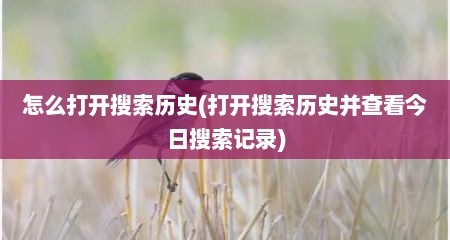 怎么打开搜索历史(打开搜索历史井查看今日搜索记录)