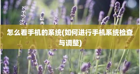 怎么看手机的系统(如何进行手机系统检查与调整)