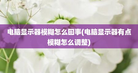 电脑显示器模糊怎么回事(电脑显示器有点模糊怎么调整)