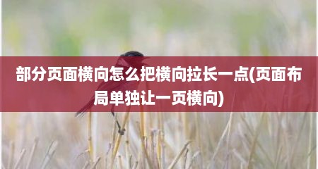 部分页面横向怎么把横向拉长一点(页面布局单独让一页横向)