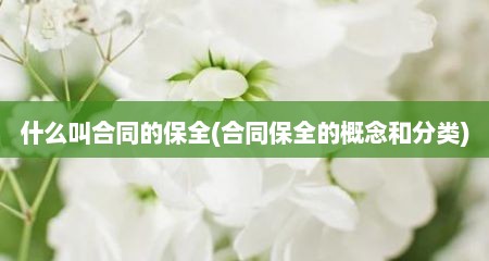 什么叫合同的保全(合同保全的概念和分类)