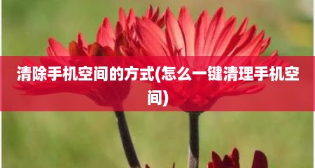 清除手机空间的方式(怎么一键清理手机空间)