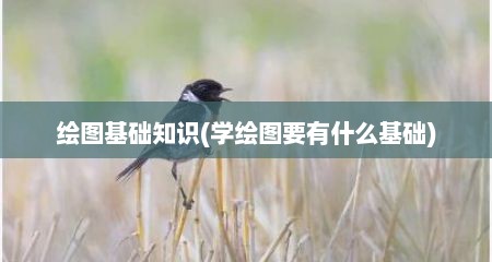 绘图基础知识(学绘图要有什么基础)