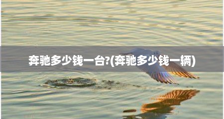 奔驰多少钱一台?(奔驰多少钱一辆)