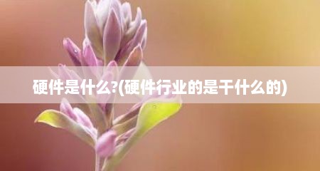 硬件是什么?(硬件行业的是干什么的)