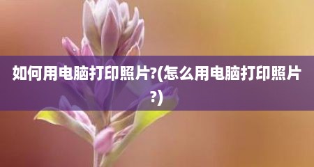 如何用电脑打印照片?(怎么用电脑打印照片?)
