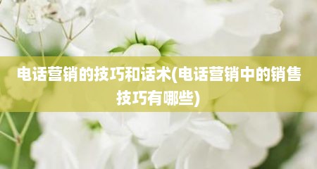 电话营销的技巧和话术(电话营销中的销售技巧有哪些)