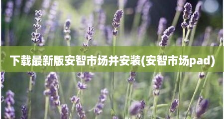 下载最新版安智市场并安装(安智市场pad)